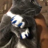 Pet Nail Caps for Dogs & Cats with Adhesive Glue